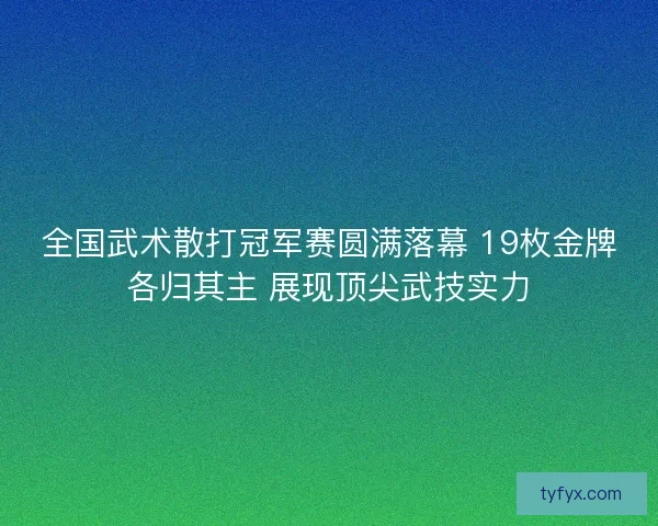 全国武术散打冠军赛圆满落幕 19枚金牌各归其主 展现顶尖武技实力