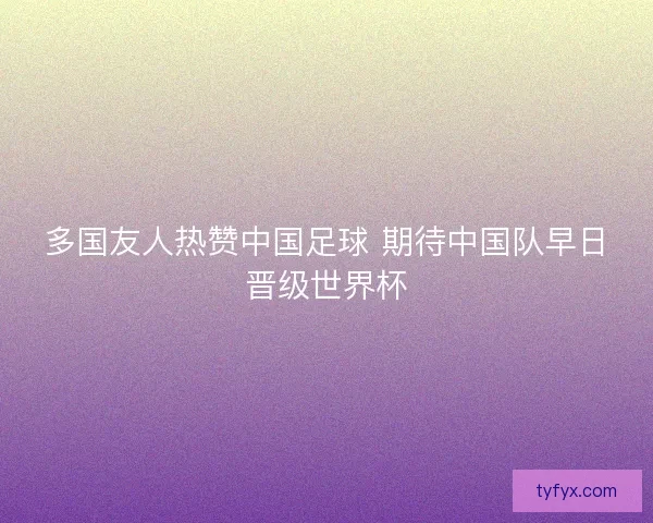 多国友人热赞中国足球 期待中国队早日晋级世界杯
