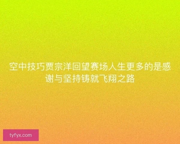空中技巧贾宗洋回望赛场人生更多的是感谢与坚持铸就飞翔之路